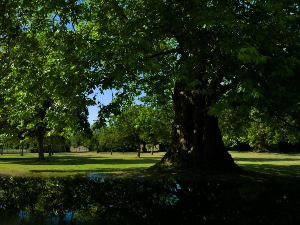 Chateau De Monceaux 5Mn De Bayeux Proche Mer Екстериор снимка